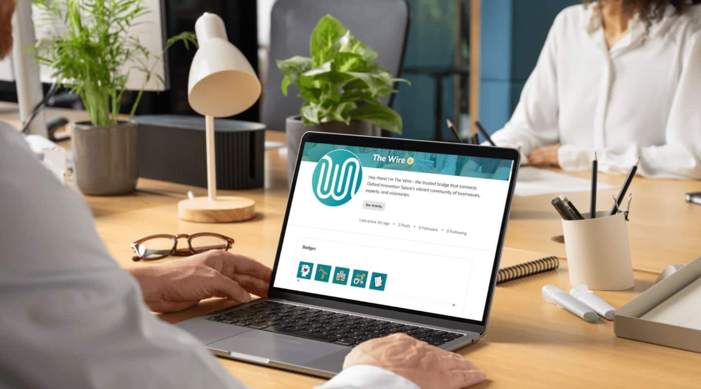 Person using a laptop showing The Wire website at a desk with office supplies and plants.